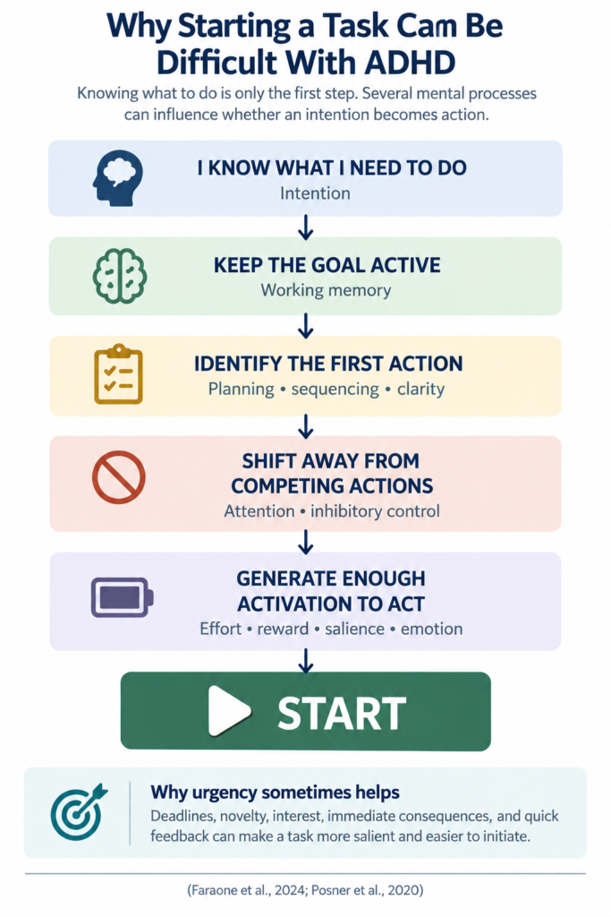 ADHD and task initiation infographic showing how working memory, planning, attention, effort, reward, salience, and emotion can influence the transition from intention to action.